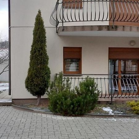 Apartments With A Parking Space Fuzine, Gorski Kotar - 19537 Eksteriør billede